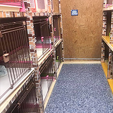 店舗内観